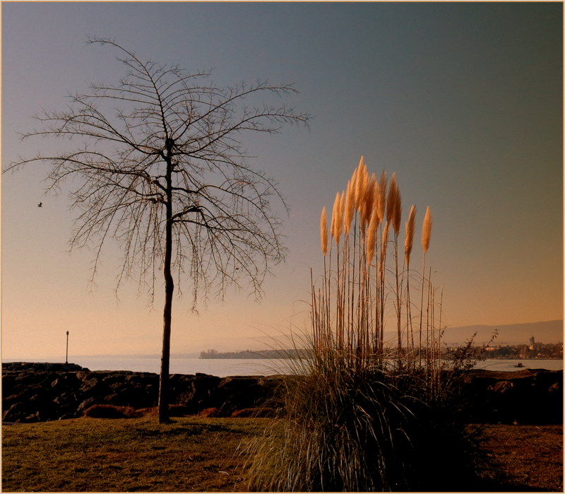 paysage d' automne