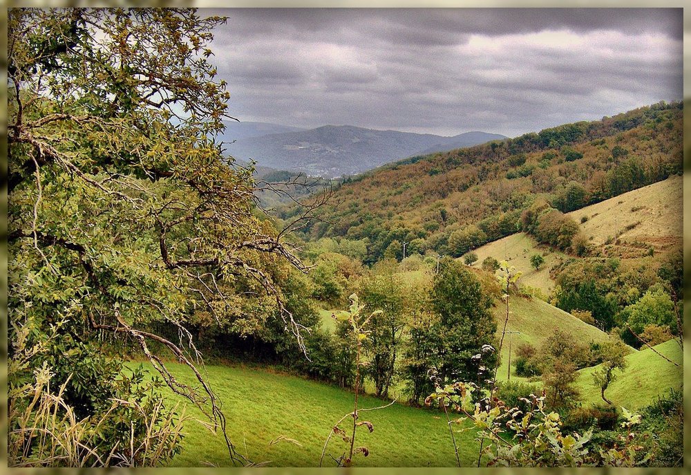 PAYSAGE D ' AVEYRON