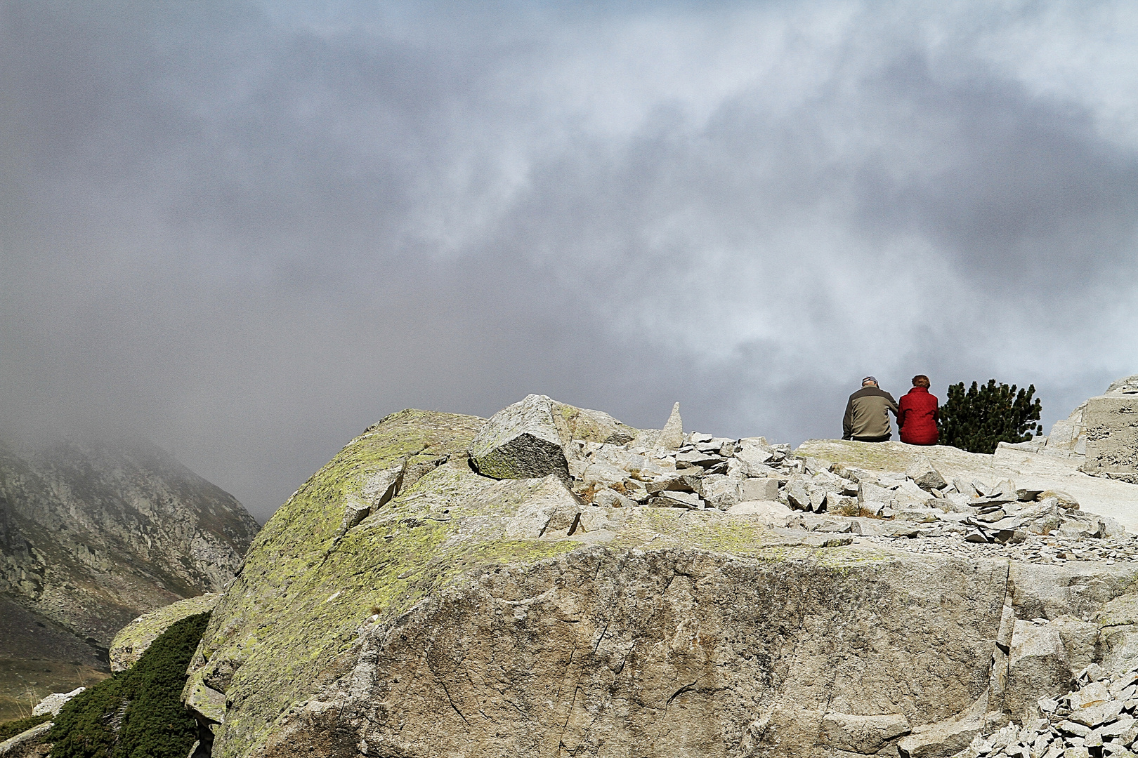 paysage dans la brume !