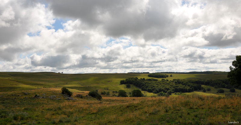 Paysage d'Aubrac