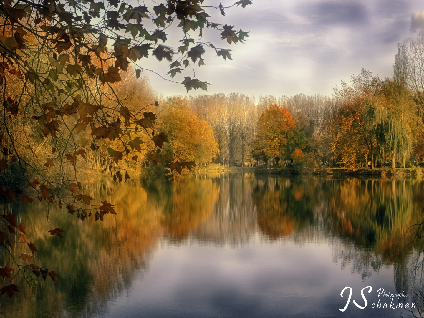 Paysage d'automne