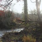 paysage d'automne