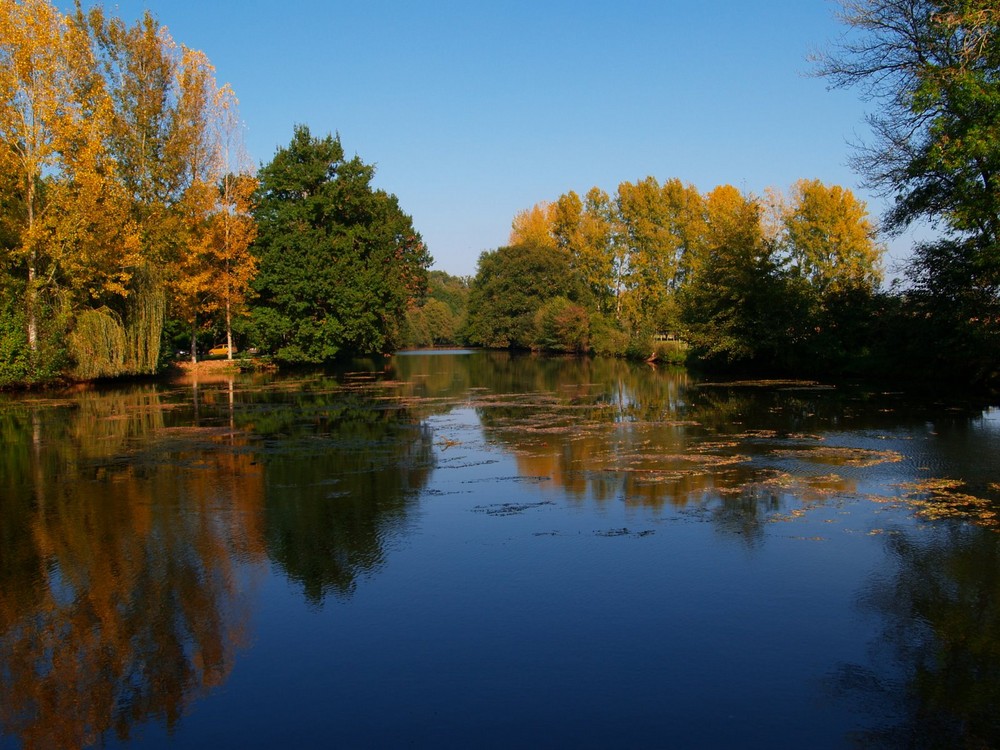 Paysage d'automne