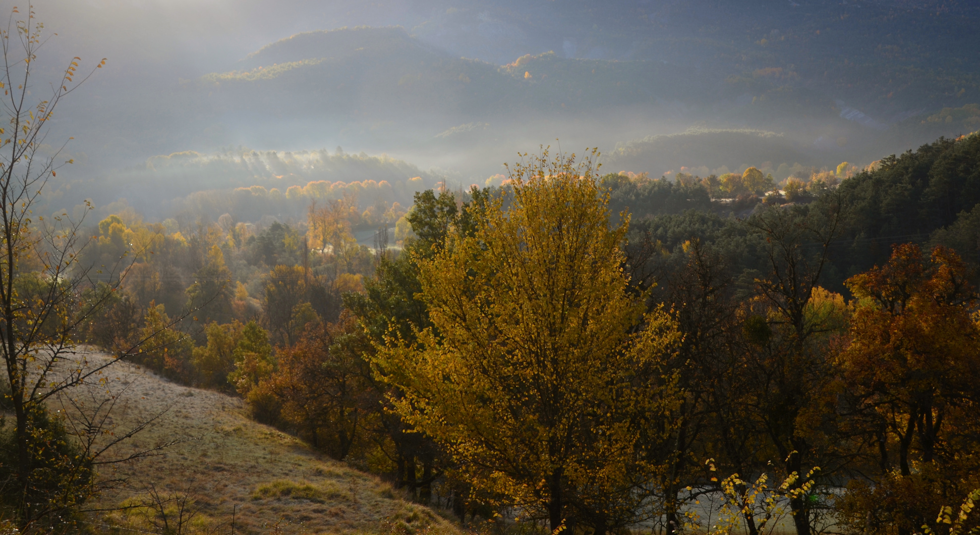 * paysage d'automne *