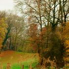 paysage d'automne