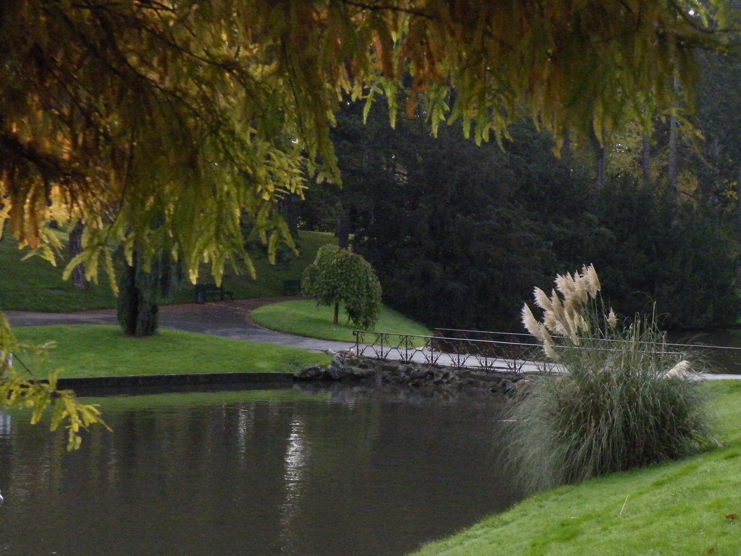 paysage d'automne