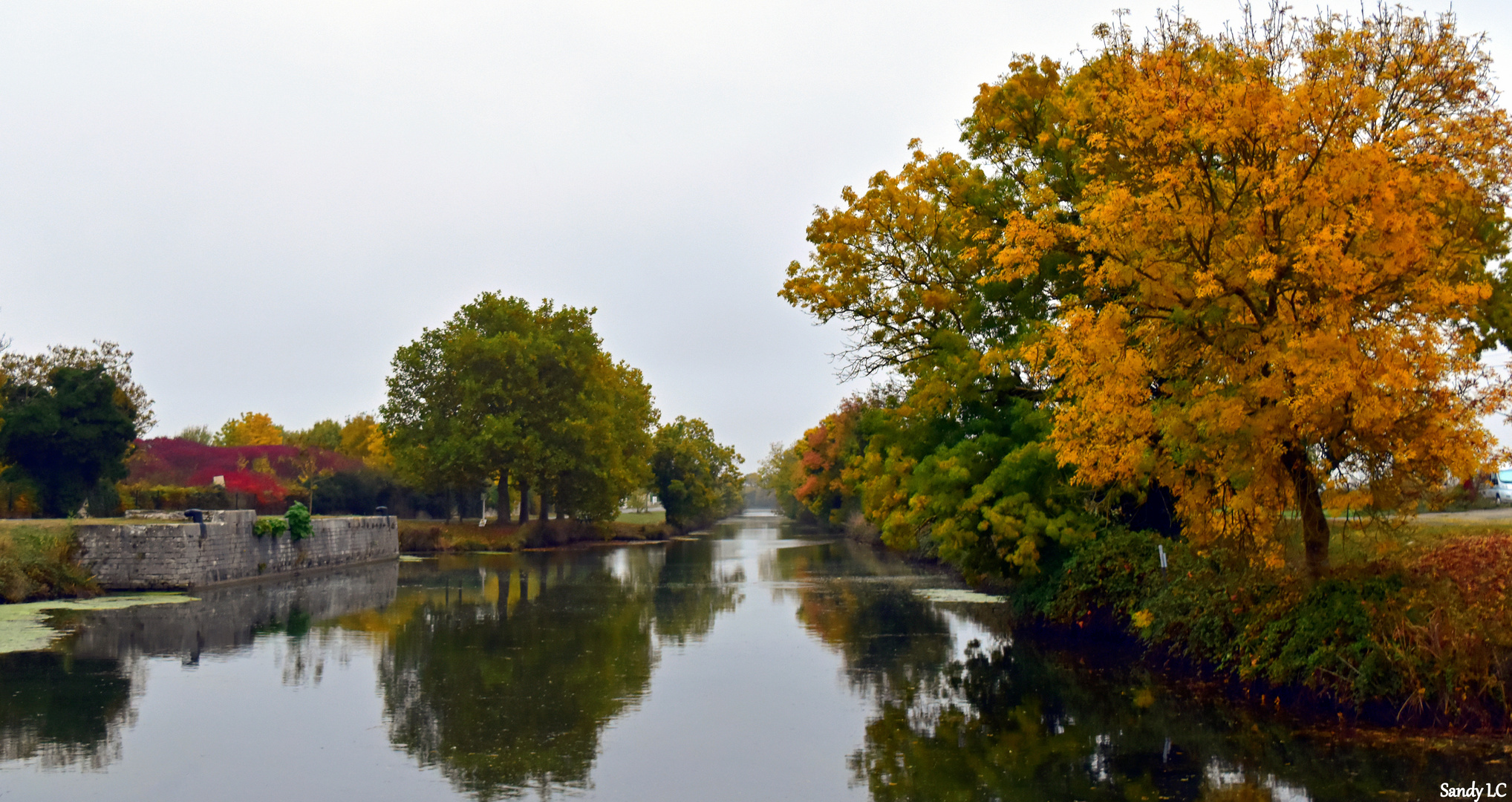 Paysage d'automne