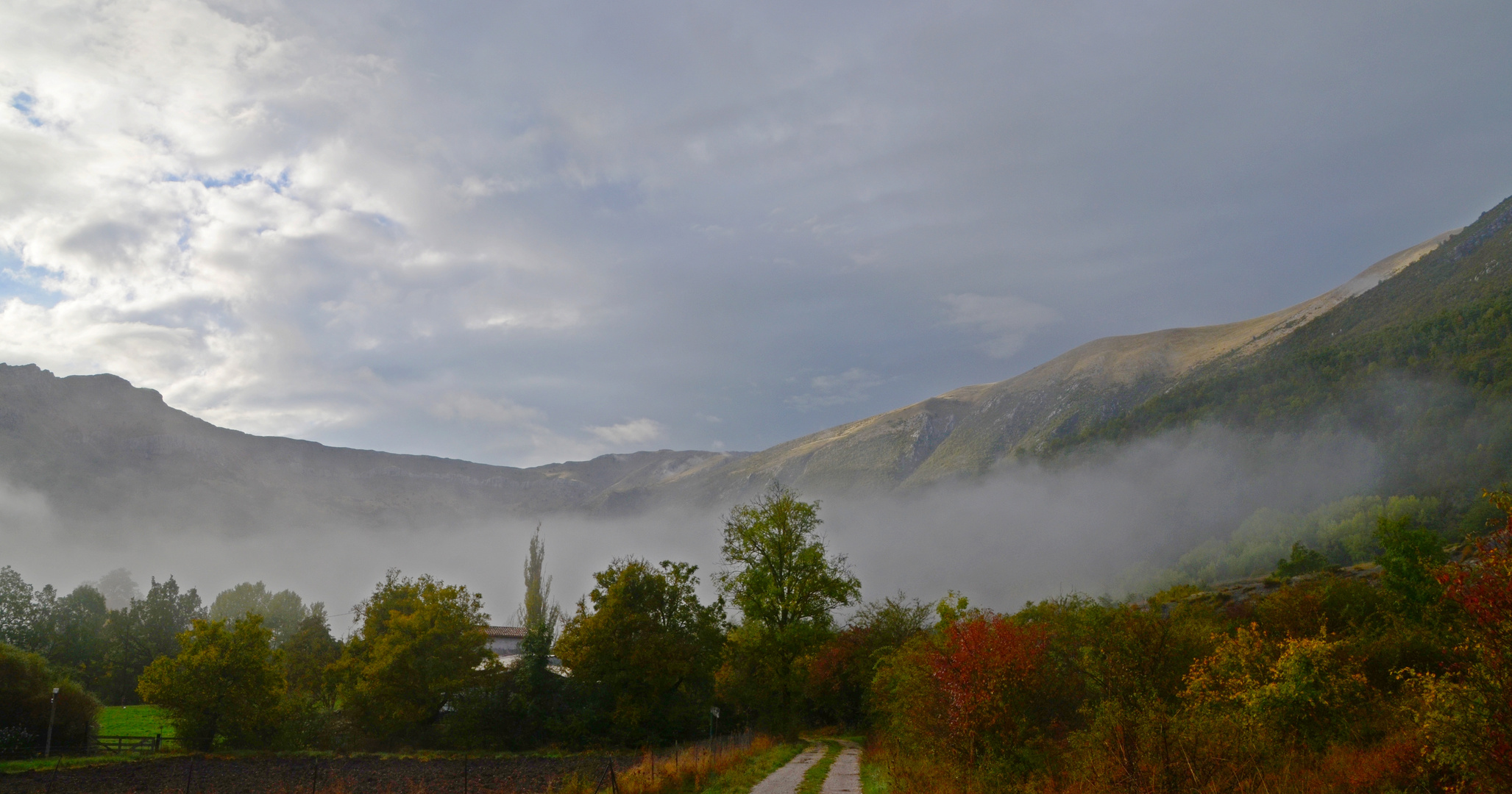 * paysage d'automne *