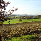 Paysage d’automne près de Condom