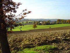 Paysage d’automne près de Condom