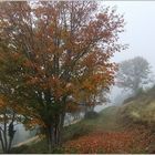 Paysage d'automne sur les hauteurs d'Hohrodberg