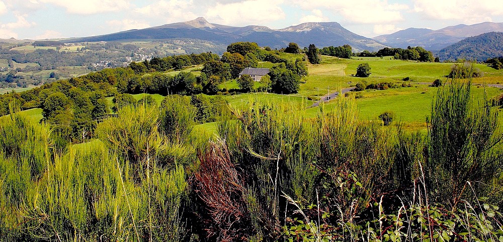 Paysage d'Auvergne