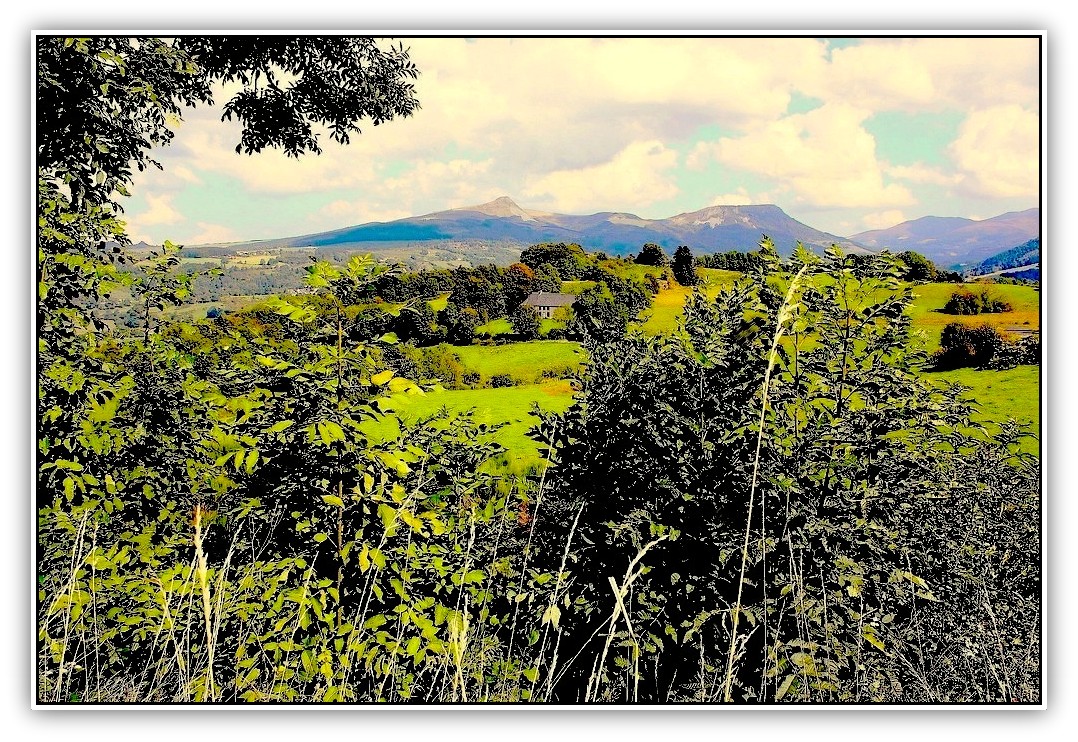 Paysage d'Auvergne