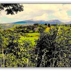 Paysage d'Auvergne