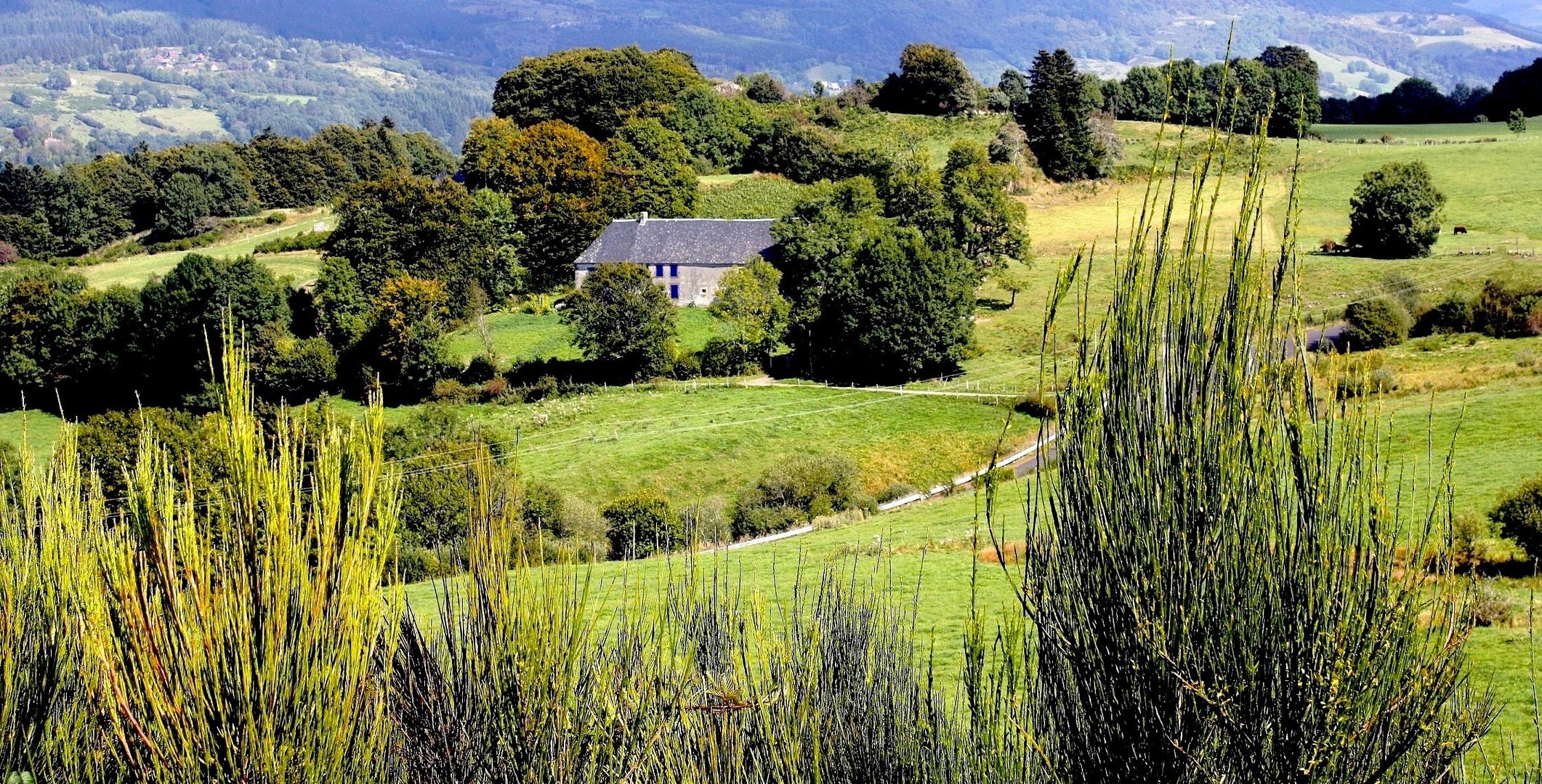 Paysage d'Auvergne