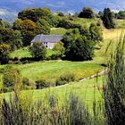 Paysage d'Auvergne