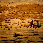 Paysage de Bolivie