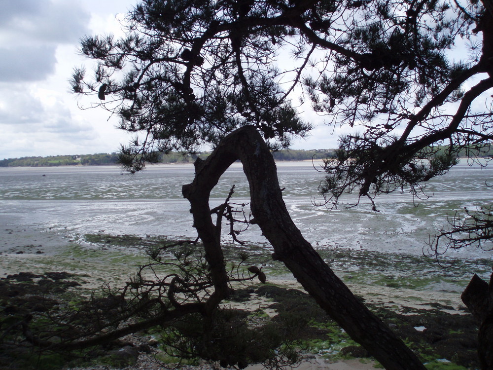 Paysage de Bretagne en avril