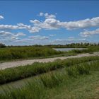 Paysage de Camargue