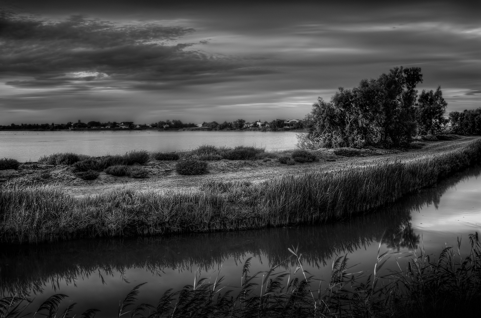 Paysage de Camargue