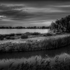 Paysage de Camargue