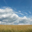 Paysage de campagne alsacienne