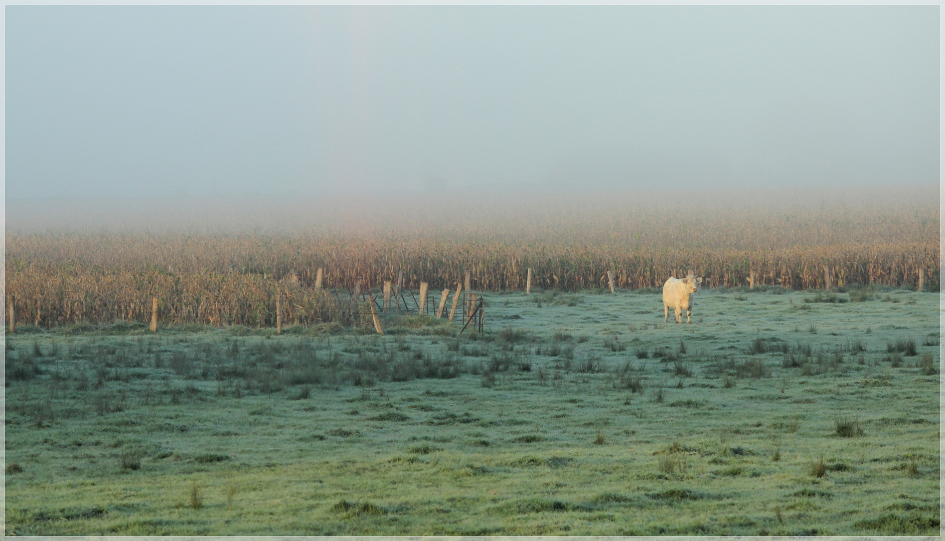 Paysage de campagne