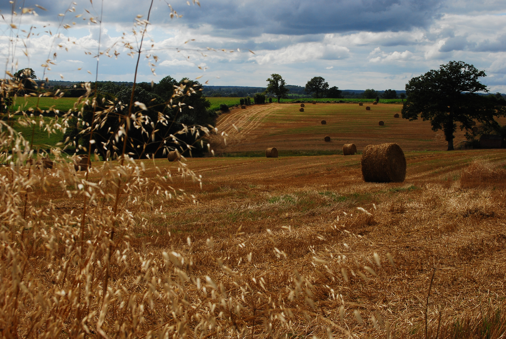 paysage de campagne