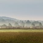 Paysage de campagne mosellane 02