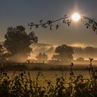 Paysage de campagne mosellane 03