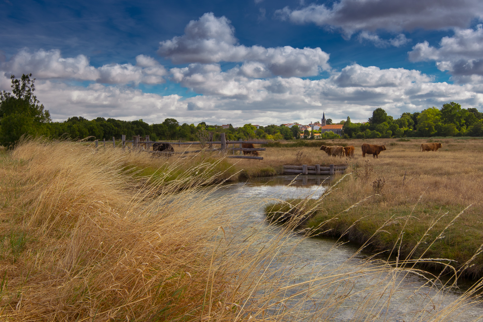 charente maritime paysage