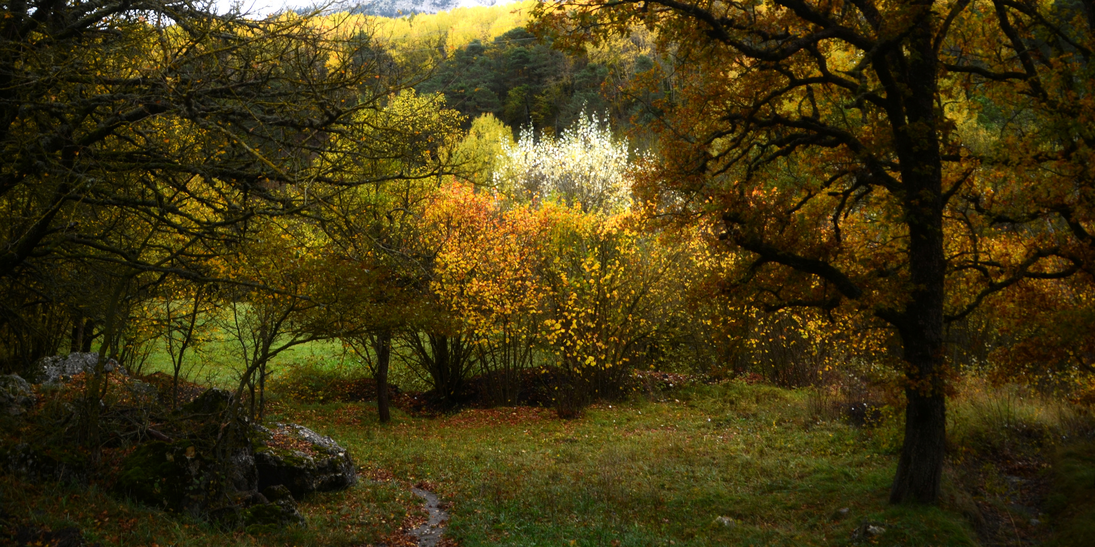 * paysage de chez moi *