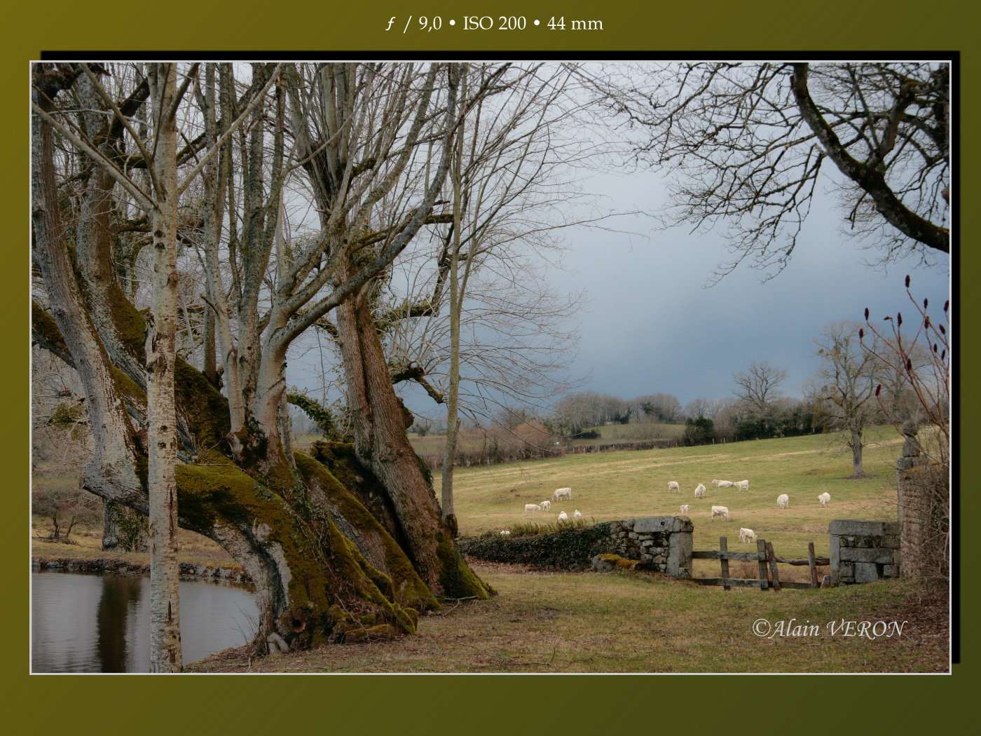 Paysage de Creuse