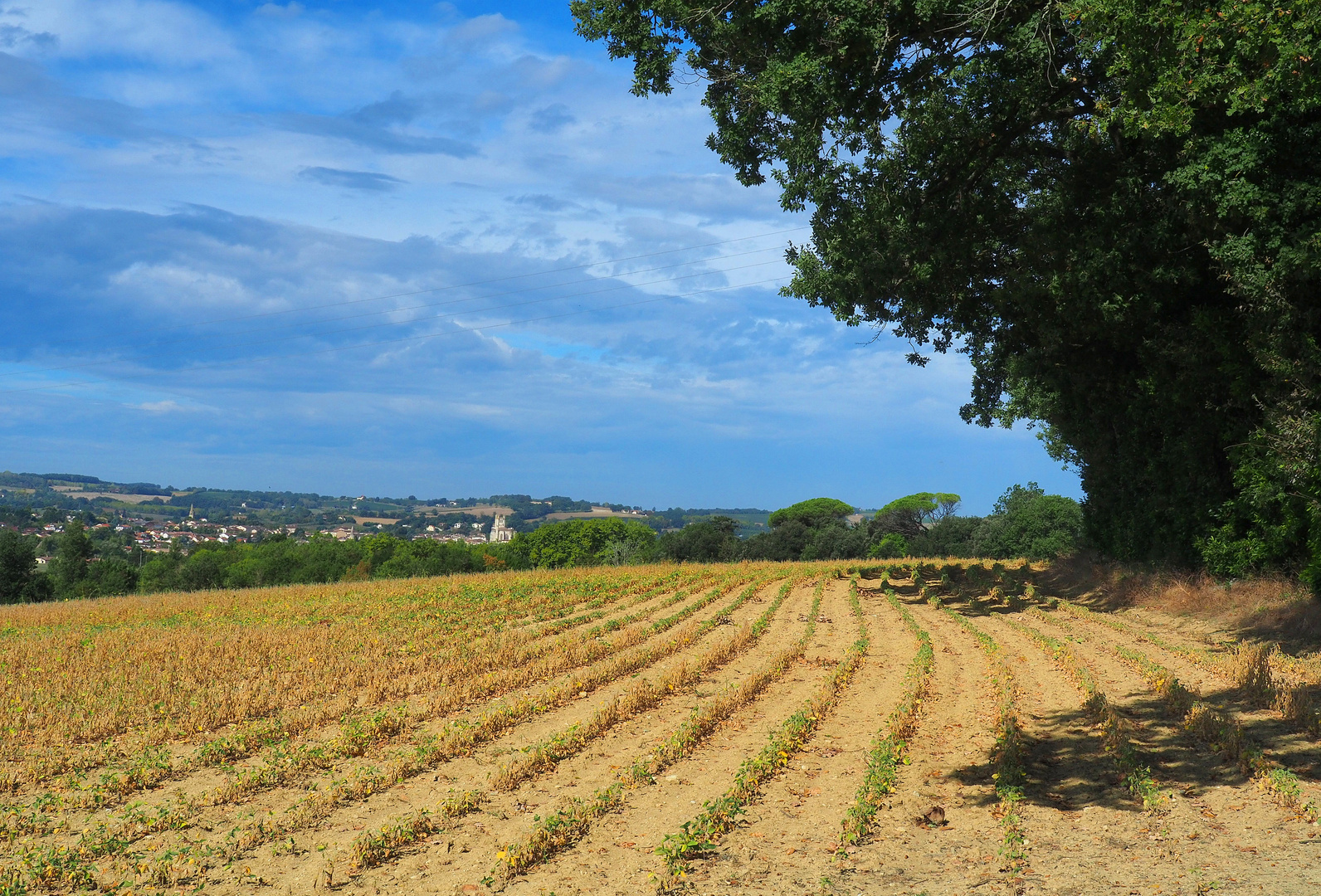 Paysage de fin d’été dans le Gers