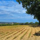 Paysage de fin d’été dans le Gers