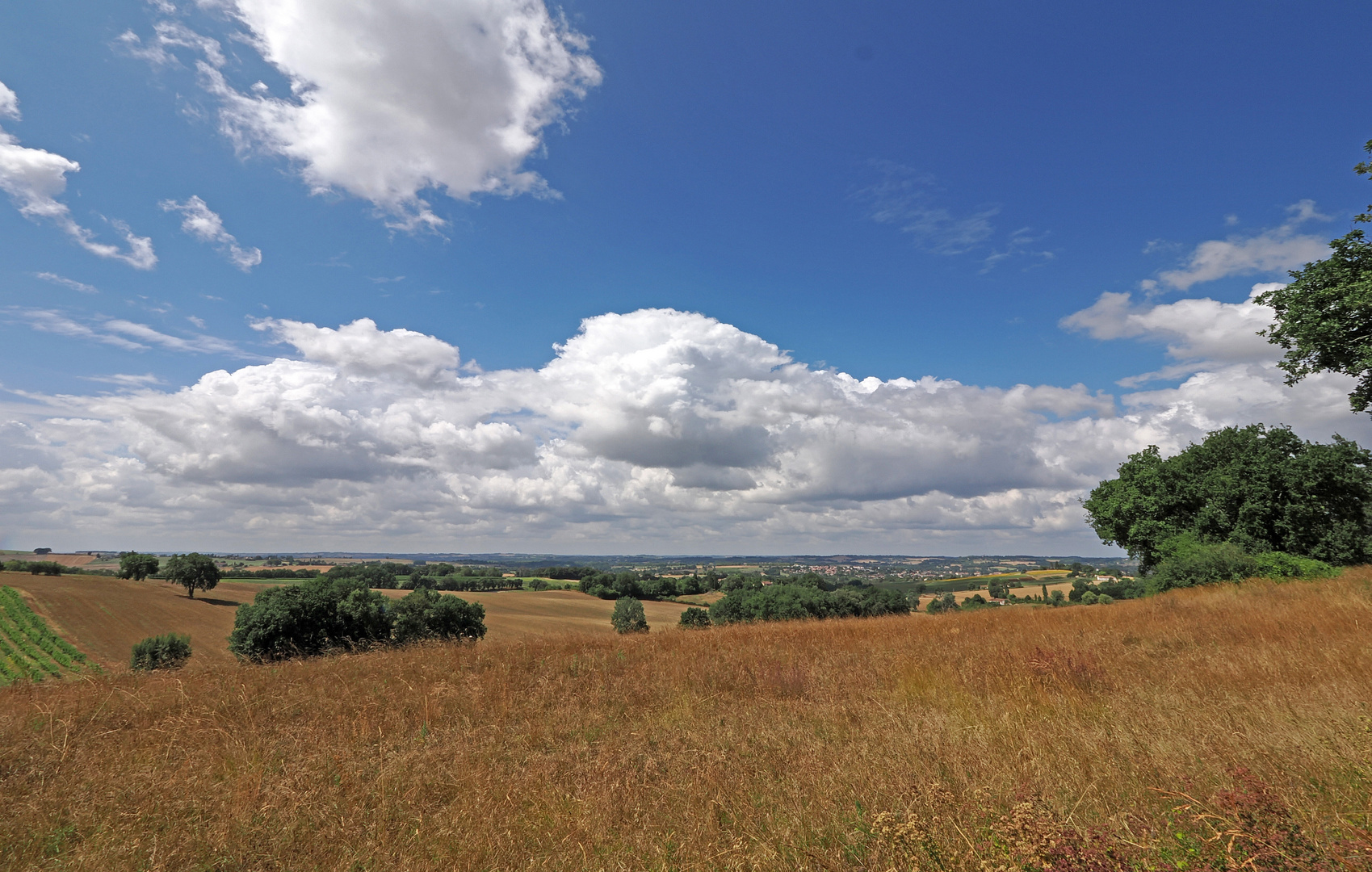 Paysage de fin juillet près de chez moi