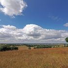 Paysage de fin juillet près de chez moi