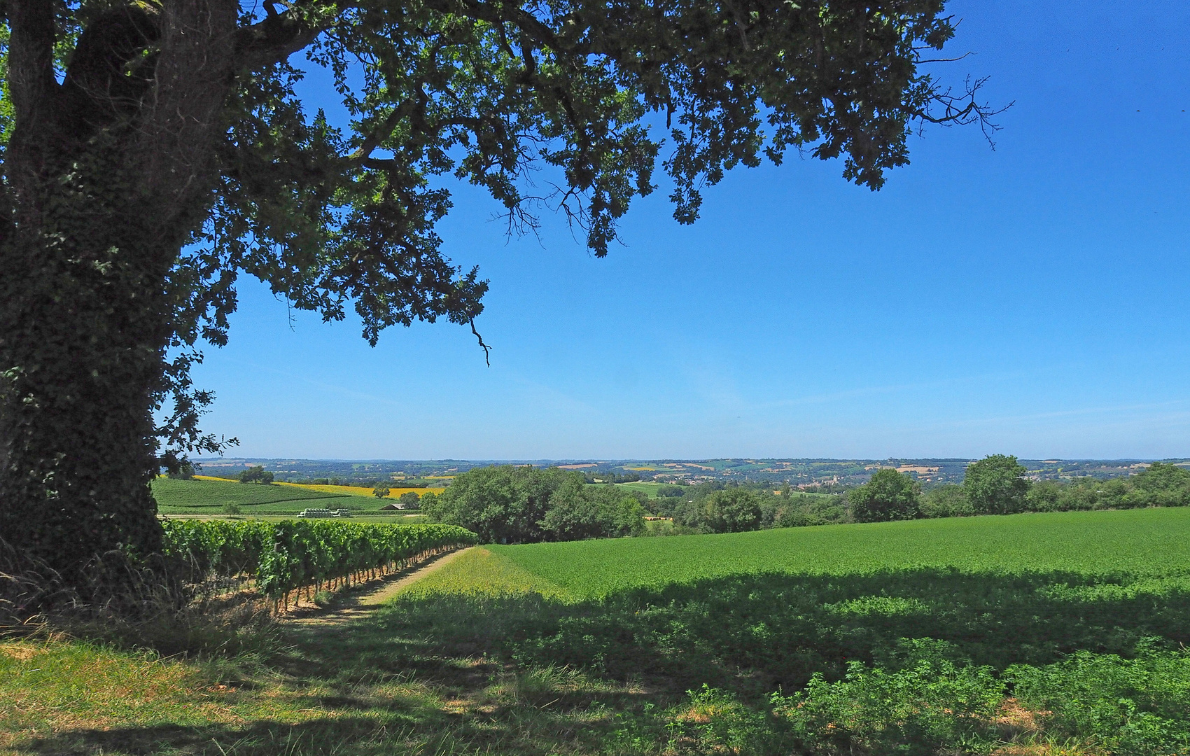 Paysage de Gascogne