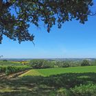 Paysage de Gascogne