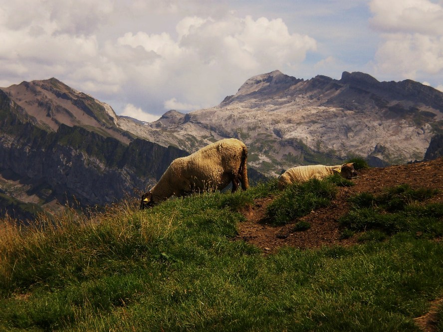 paysage de Hte-Savoie