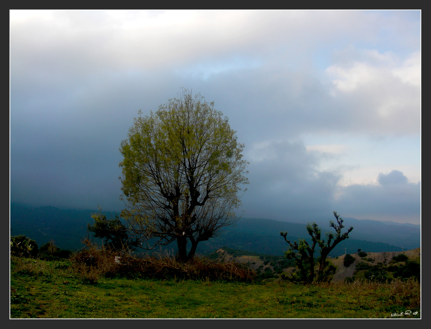 paysage de kabylie