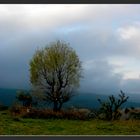 paysage de kabylie