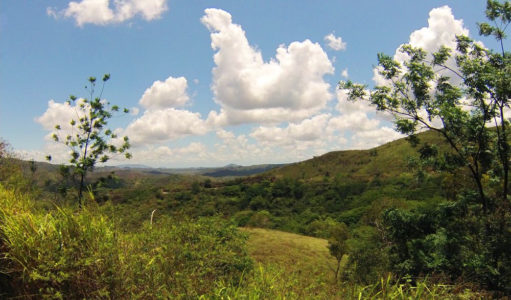 Paysage de la Chaîne centrale néo-calédonienne - Landschaft im Zentralgebirge von Neukaledonien