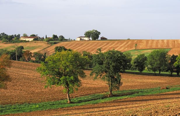 Paysage de la Ténarèze en septembre
