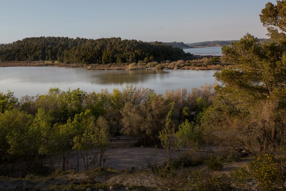 Paysage de l'Etang de l'Oeil de Ca dans la Réserve africaine de Sigean