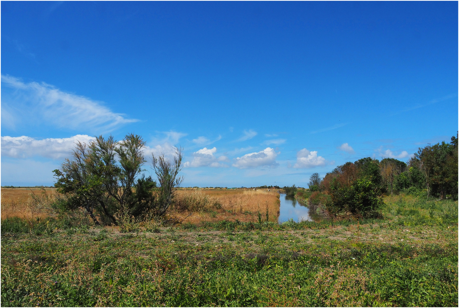 Paysage de l’intérieur de l’Île Madame