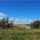 Paysage de l’intérieur de l’Île Madame