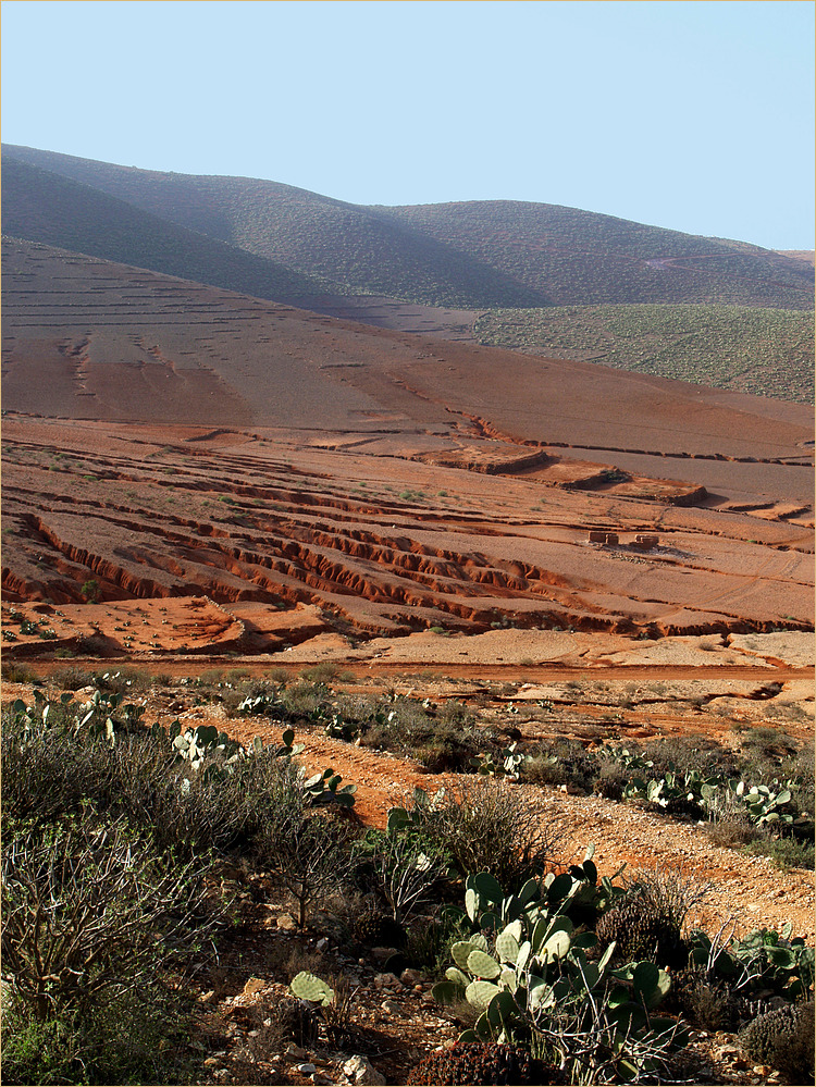 Paysage de l’intérieur du pays (Province de Sidi Ifni) – Landschaft im Landesinnere (Sidi Ifni)