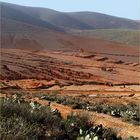 Paysage de l’intérieur du pays (Province de Sidi Ifni) – Landschaft im Landesinnere (Sidi Ifni)