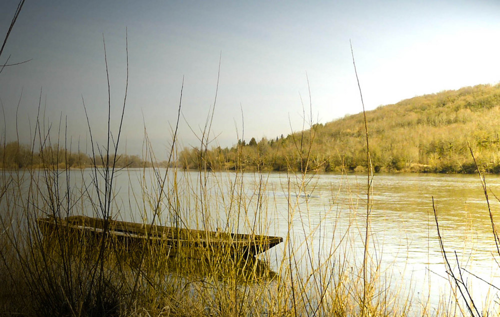 Paysage de Loire